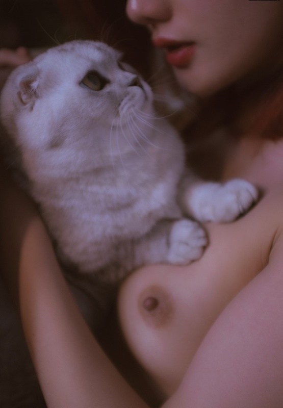 爱猫的美女